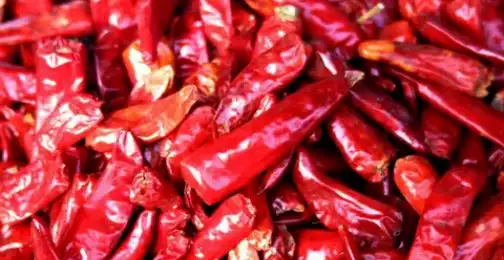 Can you digest capsaicin?